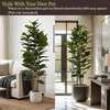 image:imagePure Garden 6FT Artificial Fiddle Leaf Fig Tree with Weighted Pot