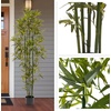 image:imagePure Garden Set of 2 Artificial Bamboo Trees  6FT Fake Plants with Adjustable Leaves  Faux Plants Indoor for Home Restaurant or Office Dcor