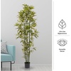 image:imagePure Garden Set of 2 Artificial Bamboo Trees  6FT Fake Plants with Adjustable Leaves  Faux Plants Indoor for Home Restaurant or Office Dcor