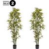 image:imagePure Garden Set of 2 Artificial Bamboo Trees  6FT Fake Plants with Adjustable Leaves  Faux Plants Indoor for Home Restaurant or Office Dcor