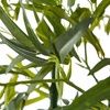 image:imagePure Garden Set of 2 Artificial Bamboo Trees  6FT Fake Plants with Adjustable Leaves  Faux Plants Indoor for Home Restaurant or Office Dcor