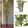 image:imagePure Garden Set of 2 Artificial Bamboo Trees  6FT Fake Plants with Adjustable Leaves  Faux Plants Indoor for Home Restaurant or Office Dcor