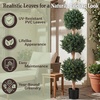 image:imagePure Garden Set of 2 Artificial Trees  5FT Hedyotis Topiary Fake Plants in Weighted Pots  Faux Plants for Indoor Display or Front Porch Decor5ft