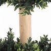 image:imagePure Garden Set of 2 Artificial Trees  5FT Hedyotis Topiary Fake Plants in Weighted Pots  Faux Plants for Indoor Display or Front Porch Decor60 Set of 2