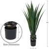 image:imagePure Garden Set of 2 Giant Agave Faux Plants  52Inch Fake Succulents with Pots  Artificial Trees Blend Southwestern Style with Modern Home DecorGreen  Black