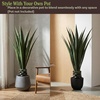 image:imagePure Garden Set of 2 Giant Agave Faux Plants  52Inch Fake Succulents with Pots  Artificial Trees Blend Southwestern Style with Modern Home DecorGreen  Black