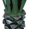 image:imagePure Garden Set of 2 Giant Agave Faux Plants  52Inch Fake Succulents with Pots  Artificial Trees Blend Southwestern Style with Modern Home DecorGreen  Black