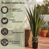image:imagePure Garden Set of 2 Giant Agave Faux Plants  52Inch Fake Succulents with Pots  Artificial Trees Blend Southwestern Style with Modern Home DecorGreen  Black