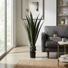 image:imagePure Garden Set of 2 Giant Agave Faux Plants  52Inch Fake Succulents with Pots  Artificial Trees Blend Southwestern Style with Modern Home DecorGreen  Black