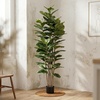 image:imagePure Garden 6FT Artificial Fiddle Leaf Fig Tree with Weighted Pot