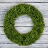 image:imagePure Garden Front Door Wreath and Storage Bag  20Inch Artificial Foxtail Fern Wreath and Zippered Tote with Handles  Farmhouse Greenery DecorGreen
