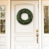 image:imagePure Garden Front Door Wreath and Storage Bag  21Inch Artificial Fern Wreath and Zippered Tote with Handles  Farmhouse Greenery Dcor195 Boxwood  Red Bag