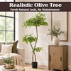 image:imagePure Garden 5FT Artificial Olive Tree Indoor in Weighted Nursery Pot