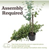 image:imagePure Garden 6FT Artificial Eucalyptus Tree in Weighted Nursery Pot